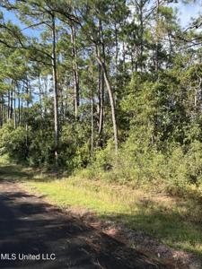 Beach, Lot 2938 Street