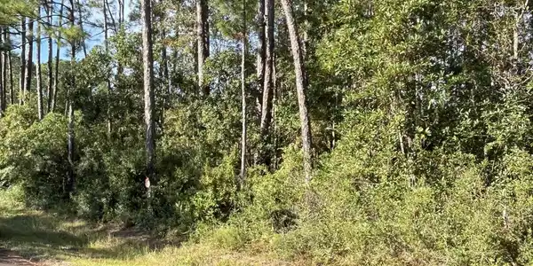 Beach, Lot 2938 Street
