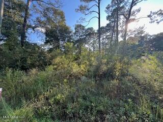 Lot 2877 Persimmon Avenue