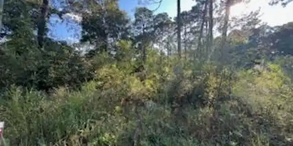 Lot 2877 Persimmon Avenue