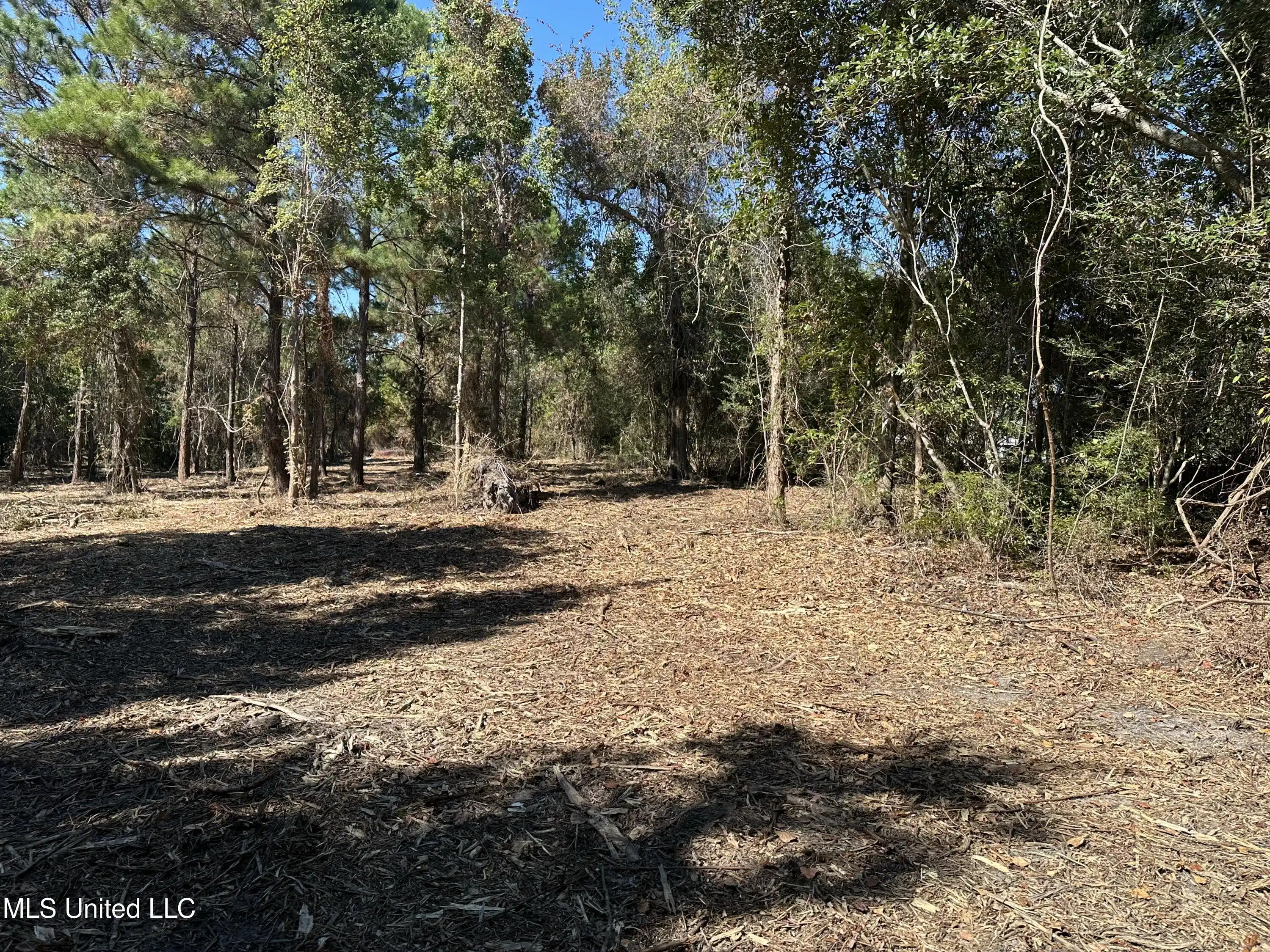 Image 1: Lot clearing