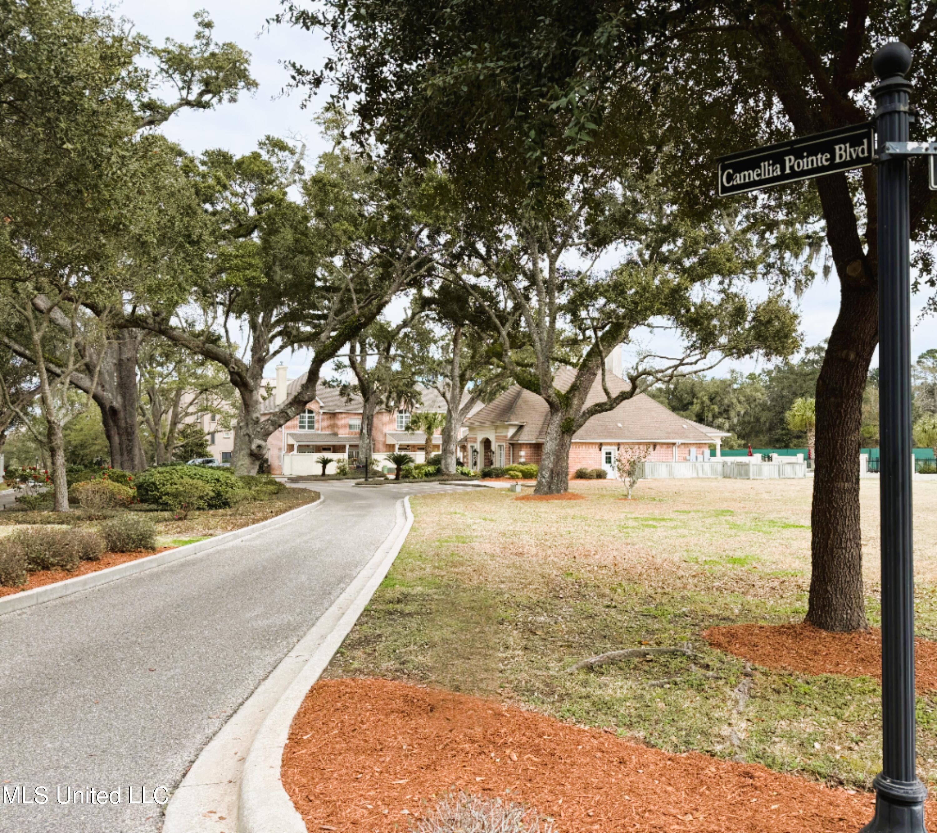 Image 3: Entrance Drive