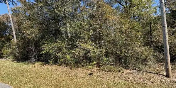 842 Lola Court
