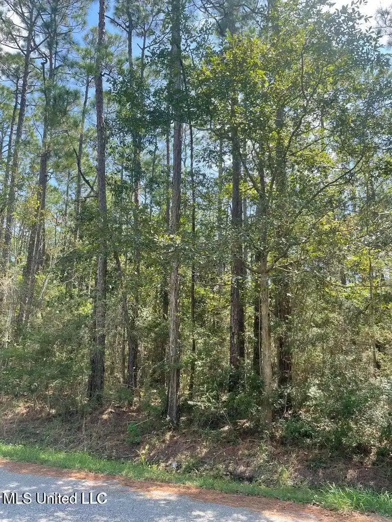 Image 1: Lot
