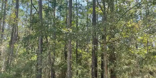 Lot 22 Sycamore Drive