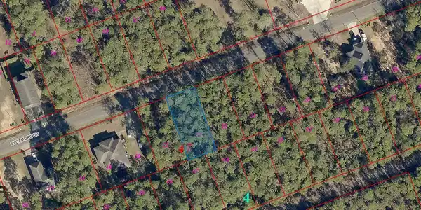 Image 2: Aerial View
