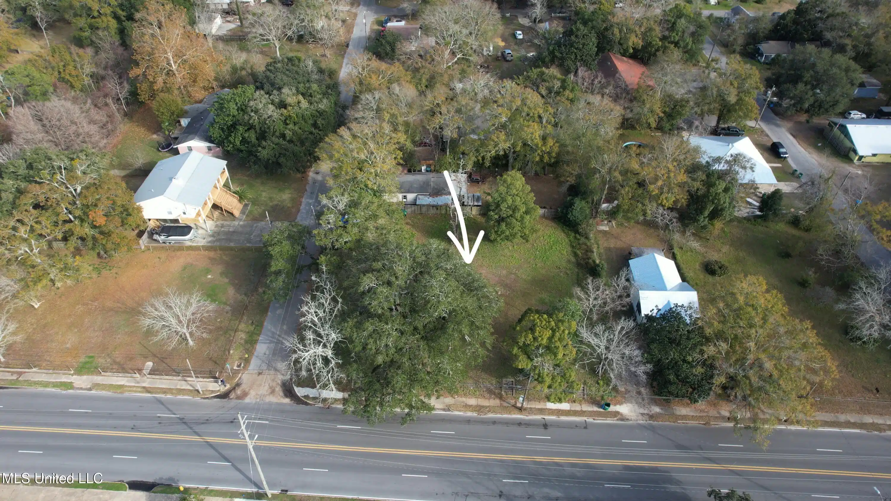 Image 1: VideoCapture_20250120-095957