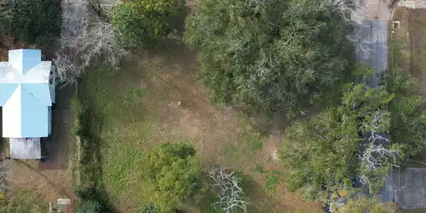 Image 3: VideoCapture_20250120-094455