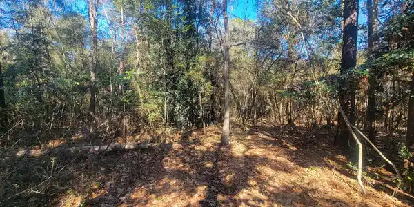 Image 2: lot photo1
