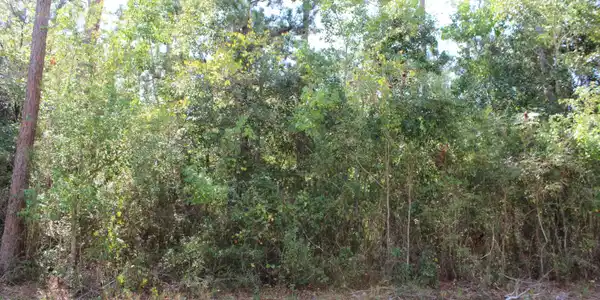 Image 2: 4TH ST2