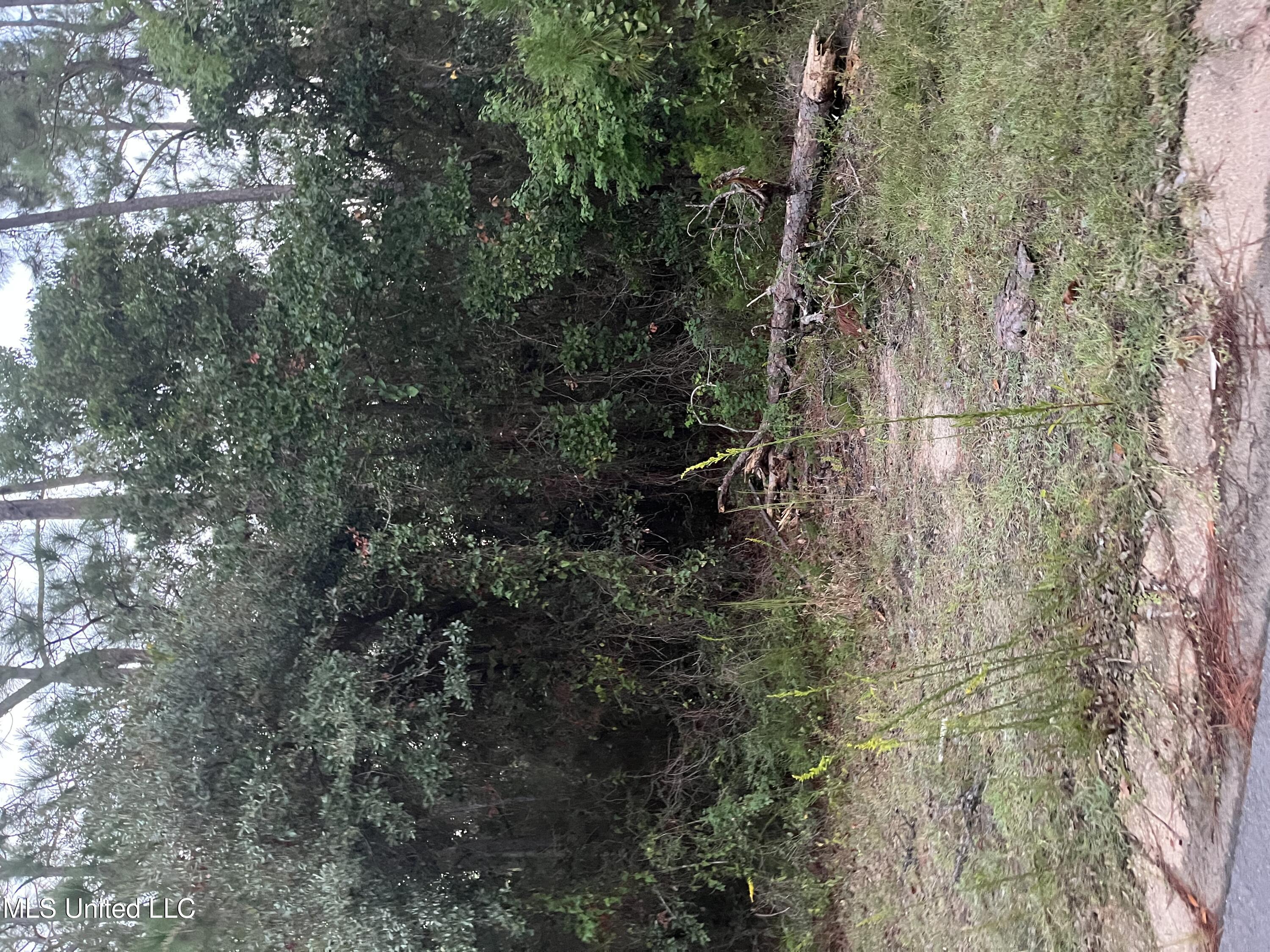 Image 1: Front of lot