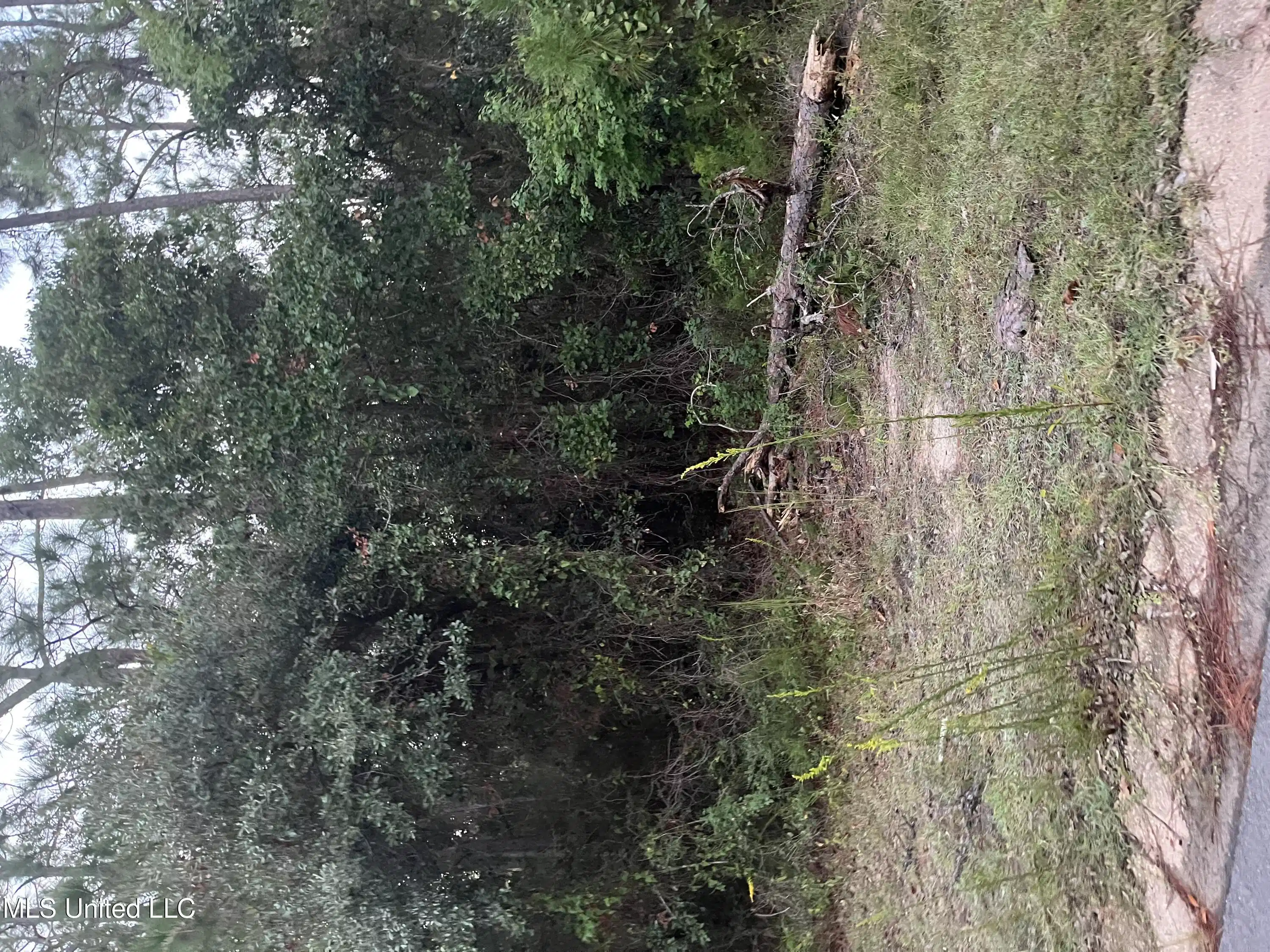 Image 1: Front of lot