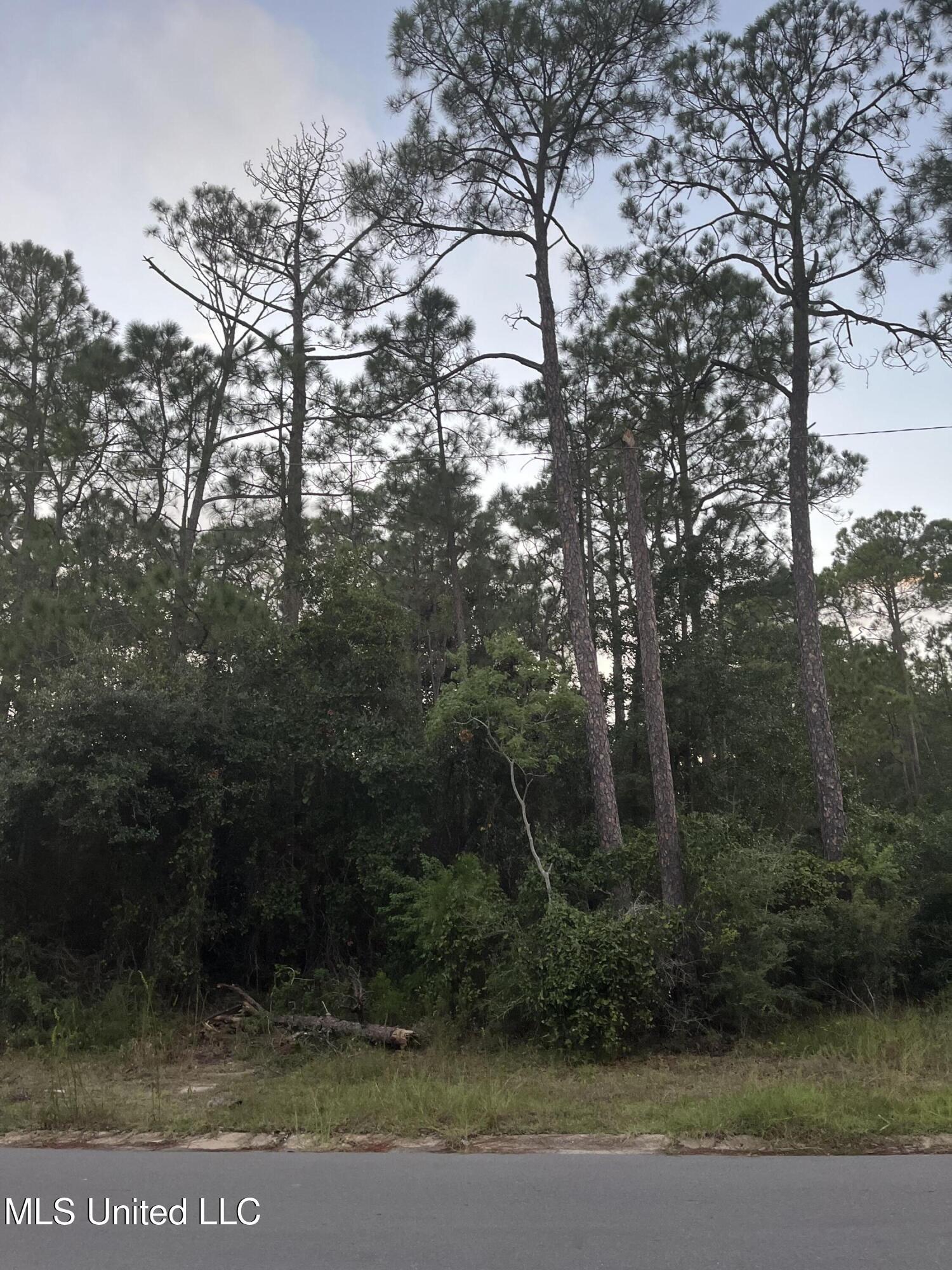 Image 3: Greenwood photos (3)