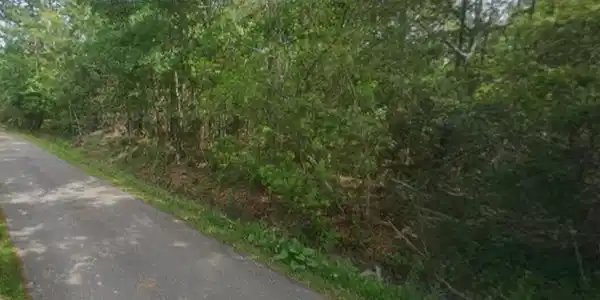 Image 3: street view