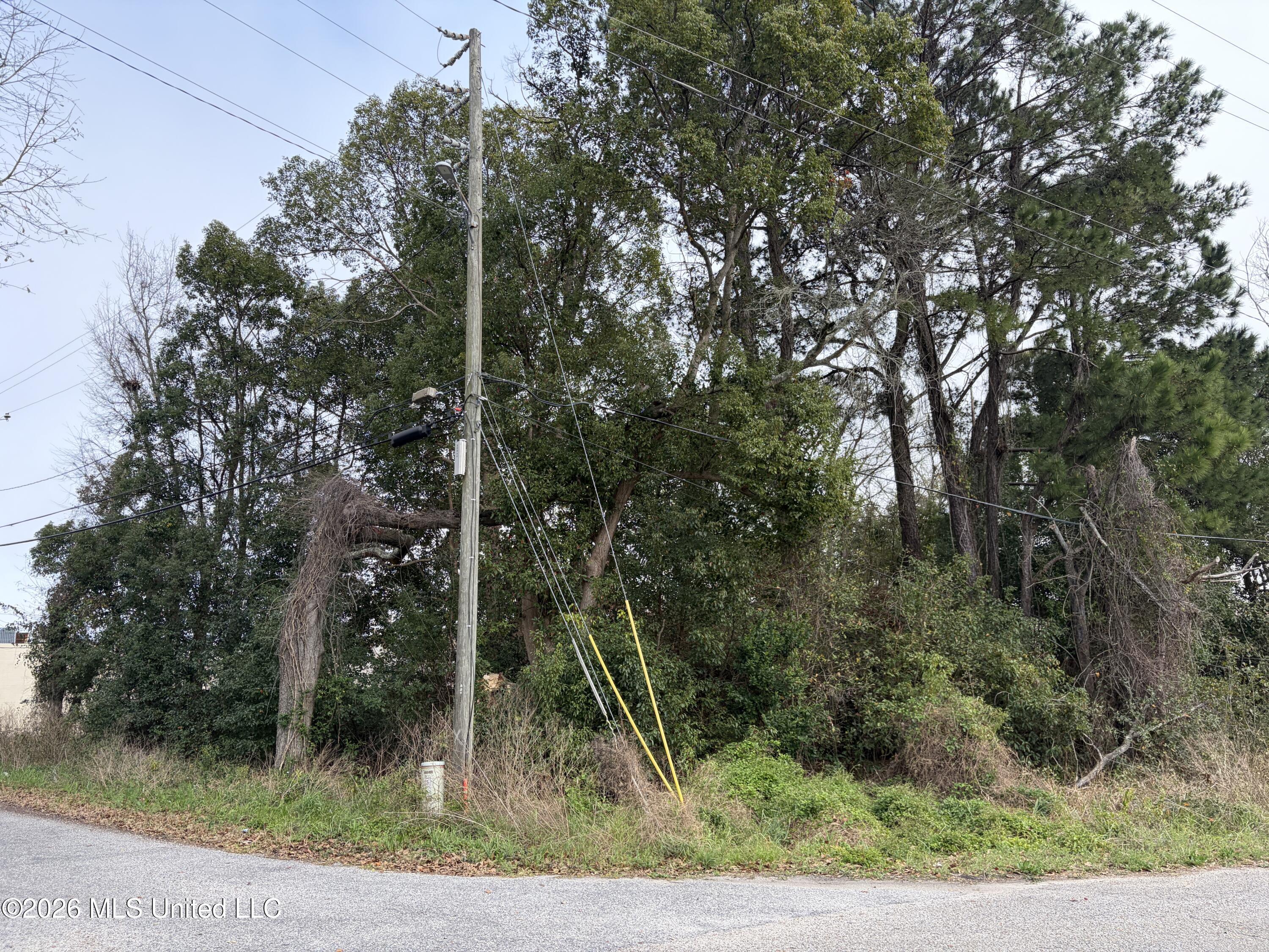 Image 1: Corner Lot