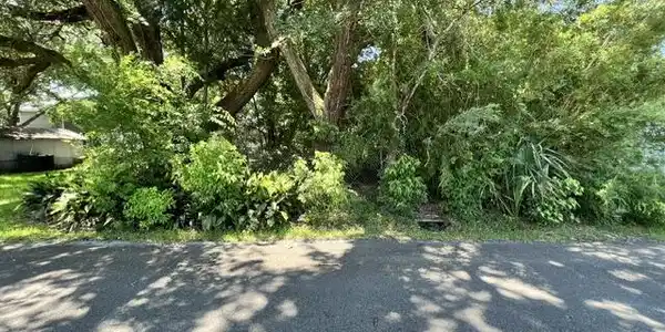 Image 3: 811 Lafayette lot pic 4