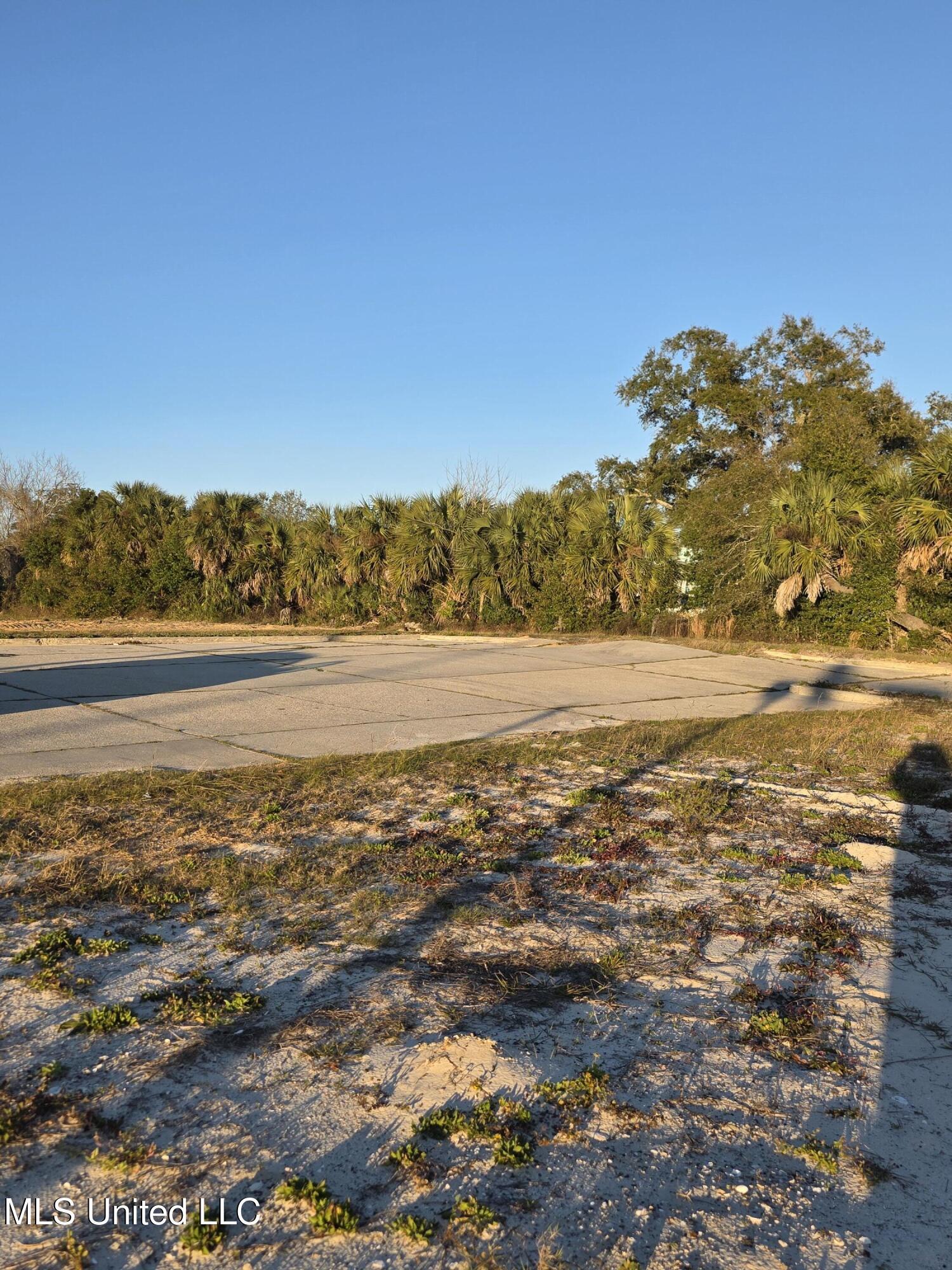 Image 2: 20260118_164628