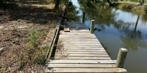 Image 3: 01