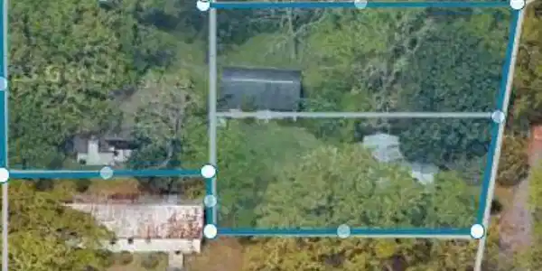Image 3: Capture