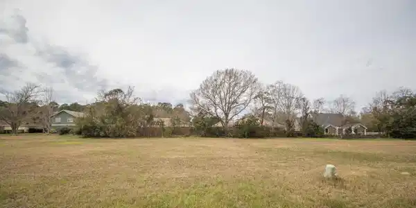 Image 3: 20221024173341906950000000-o