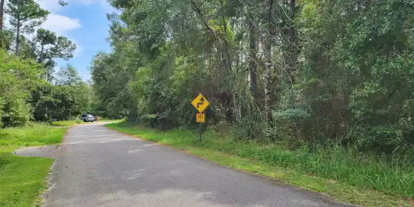 Darling Road