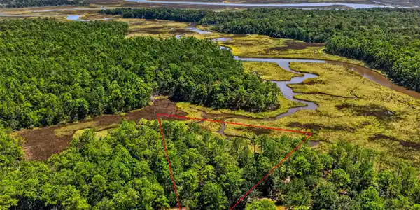 Image 4: SawGrassPt-4