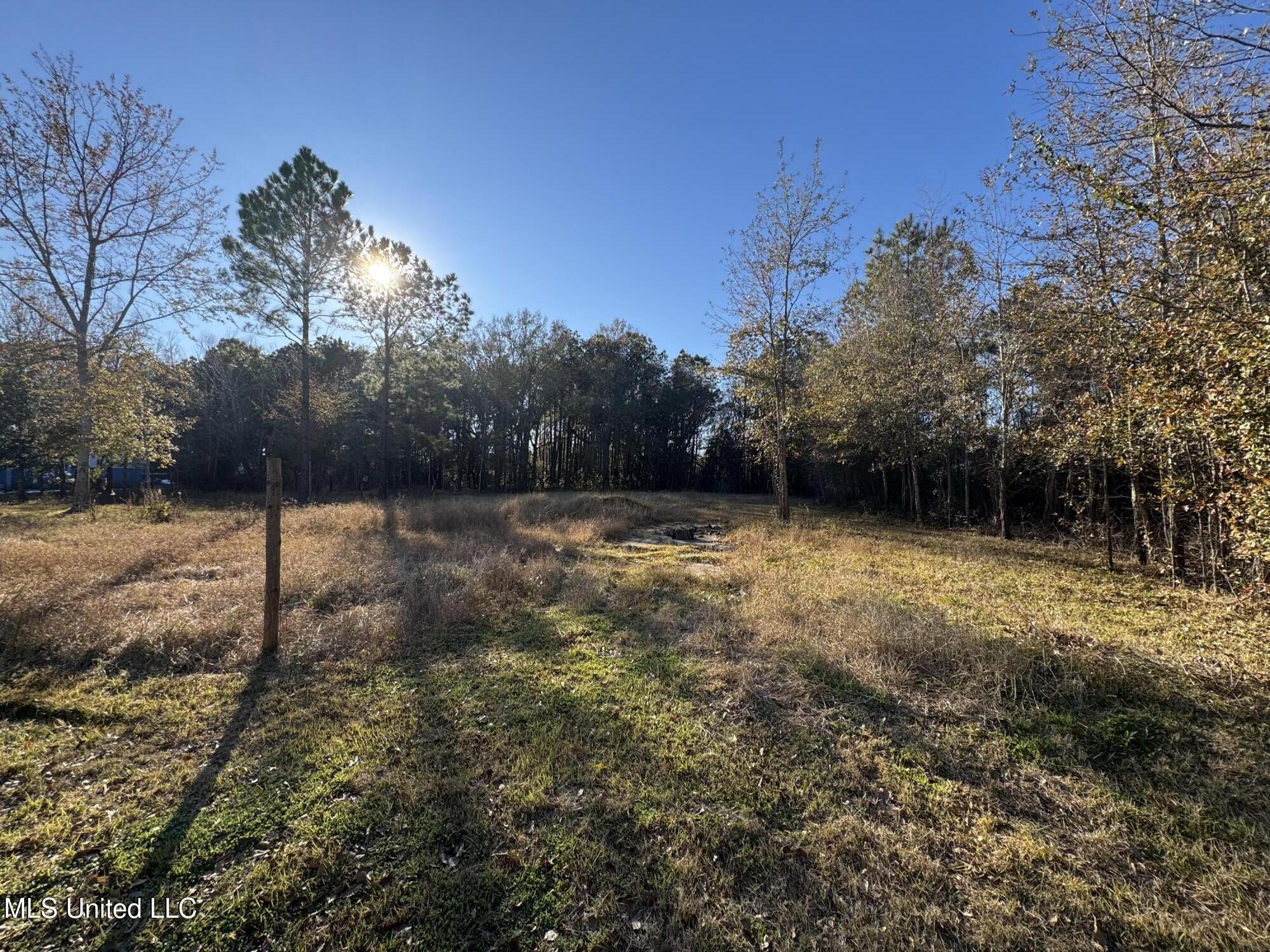 Image 2: Lot 8 (1)