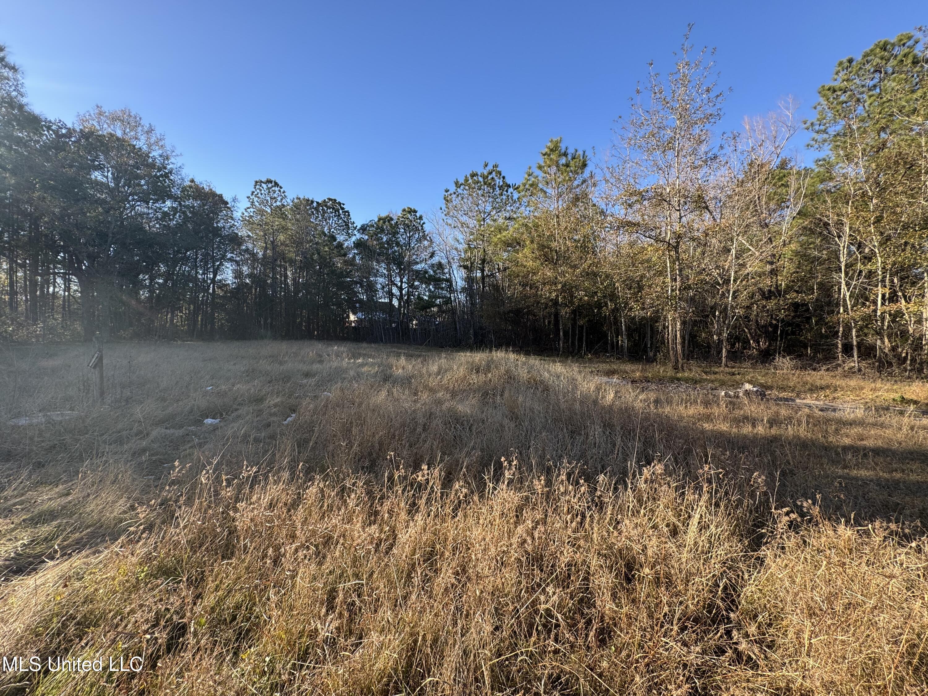 Image 4: lot 8