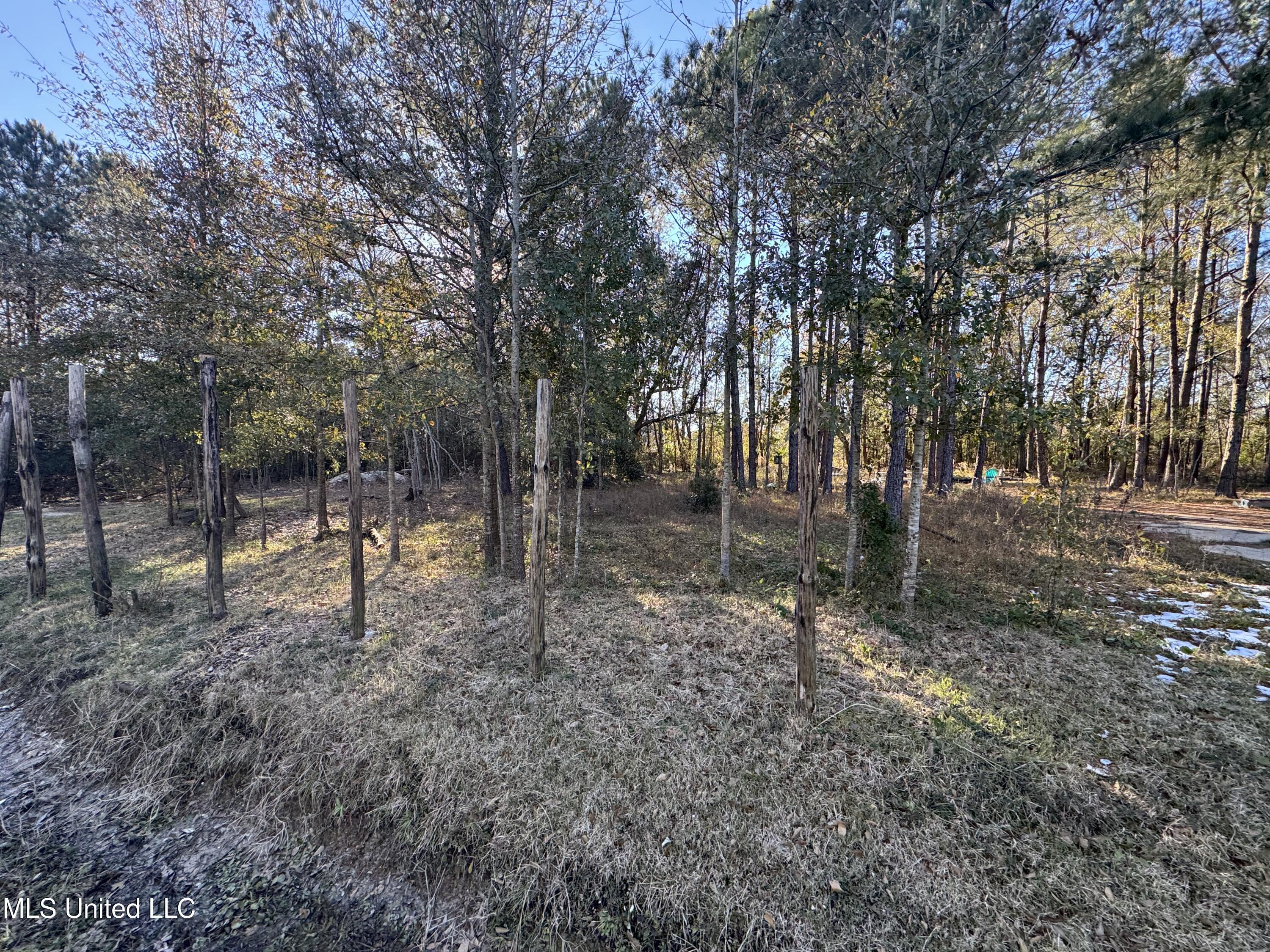 Image 2: lot 5 (1)