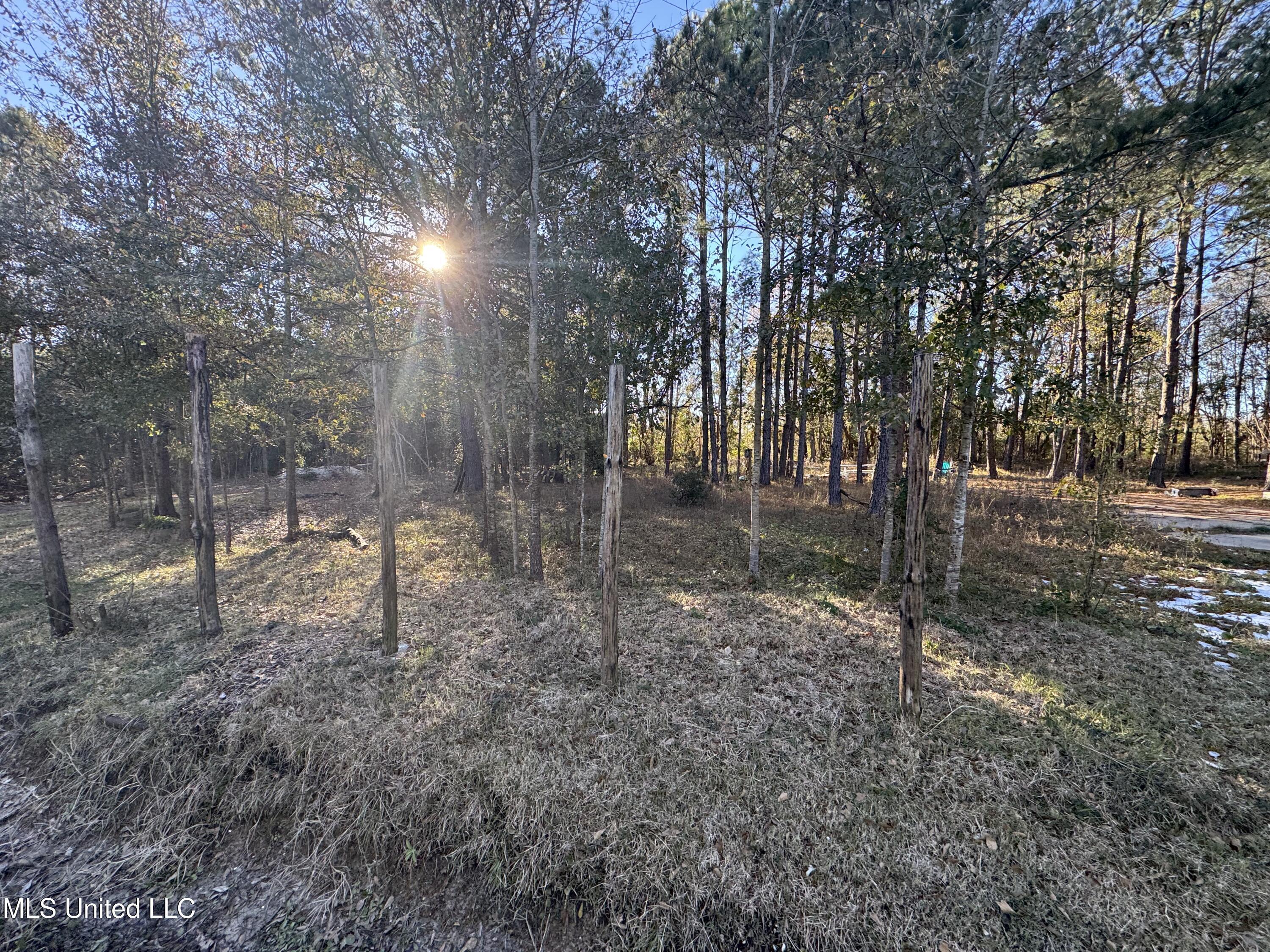 Image 3: lot 5