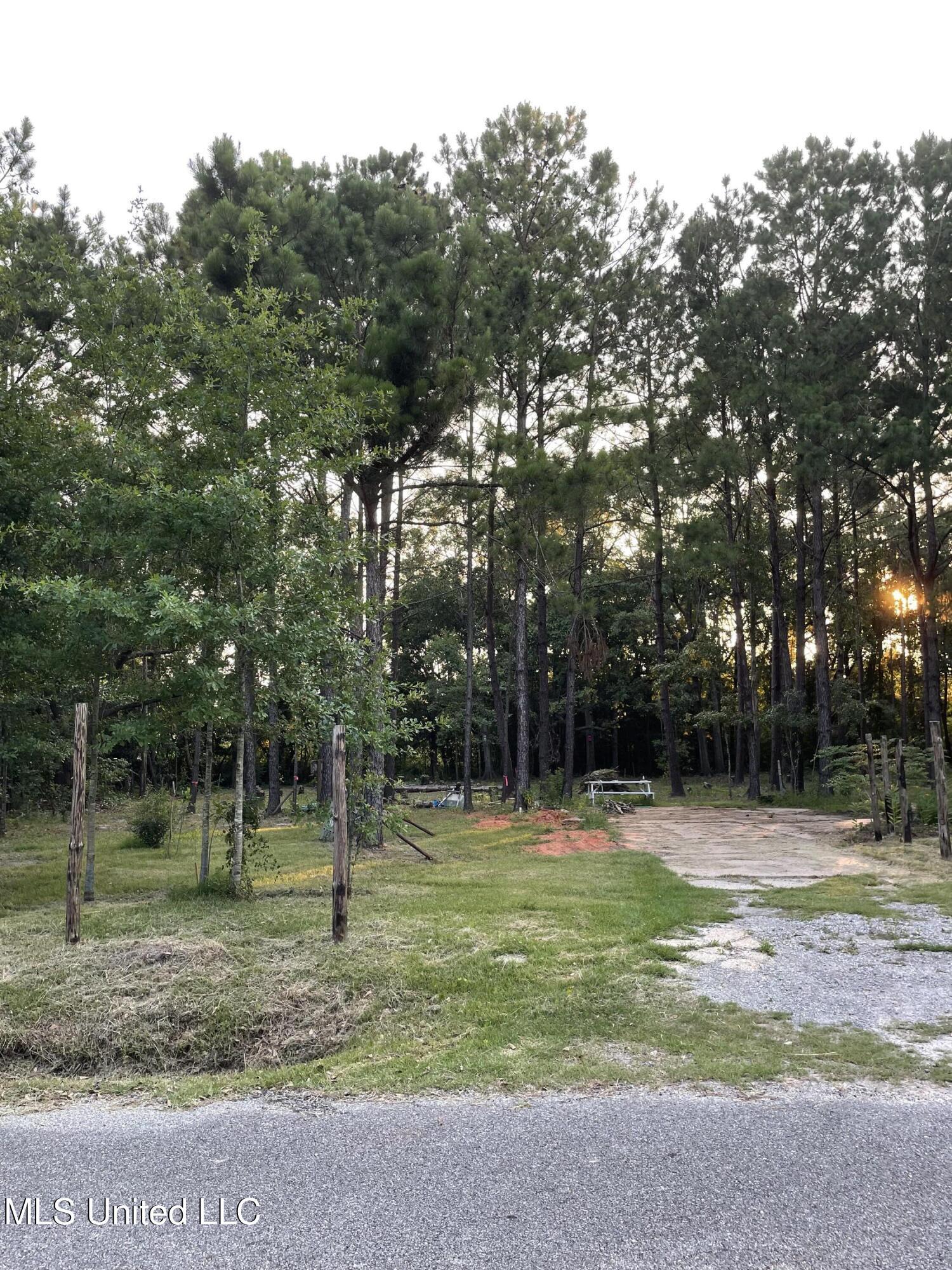 Image 4: lot 5