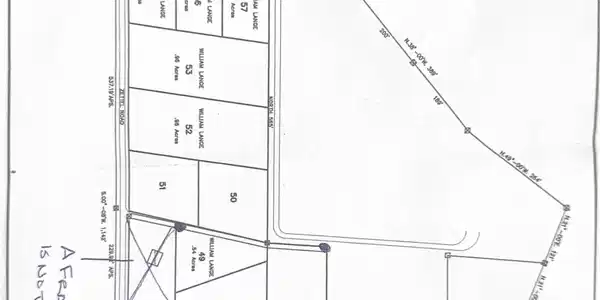 Image 2: N