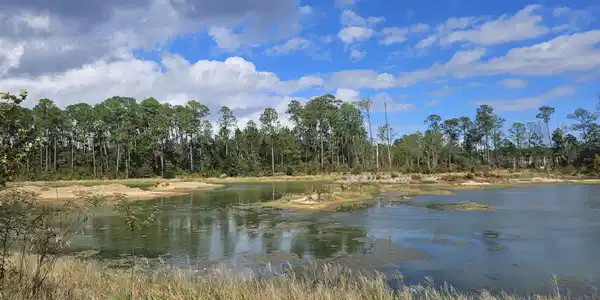 Image 3: 20251107_123439 (1)