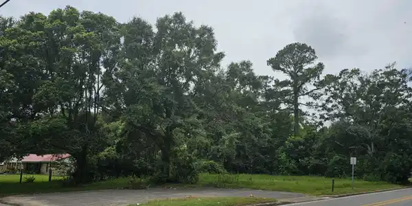 Image 3: 20260711_143141