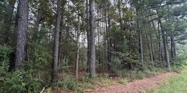 Image 2: 2