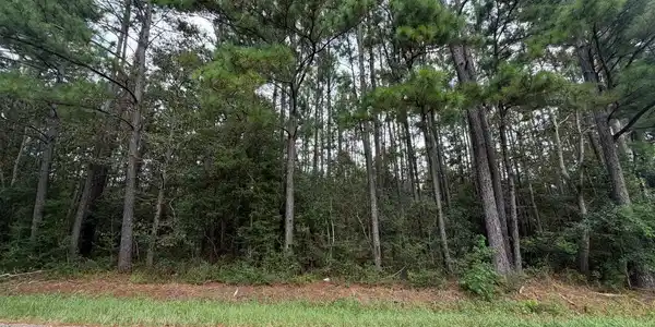 Image 3: 3
