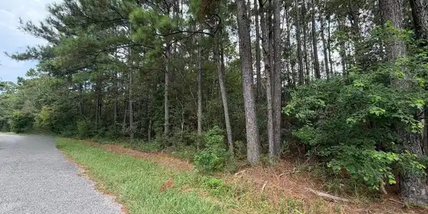 Image 4: 4