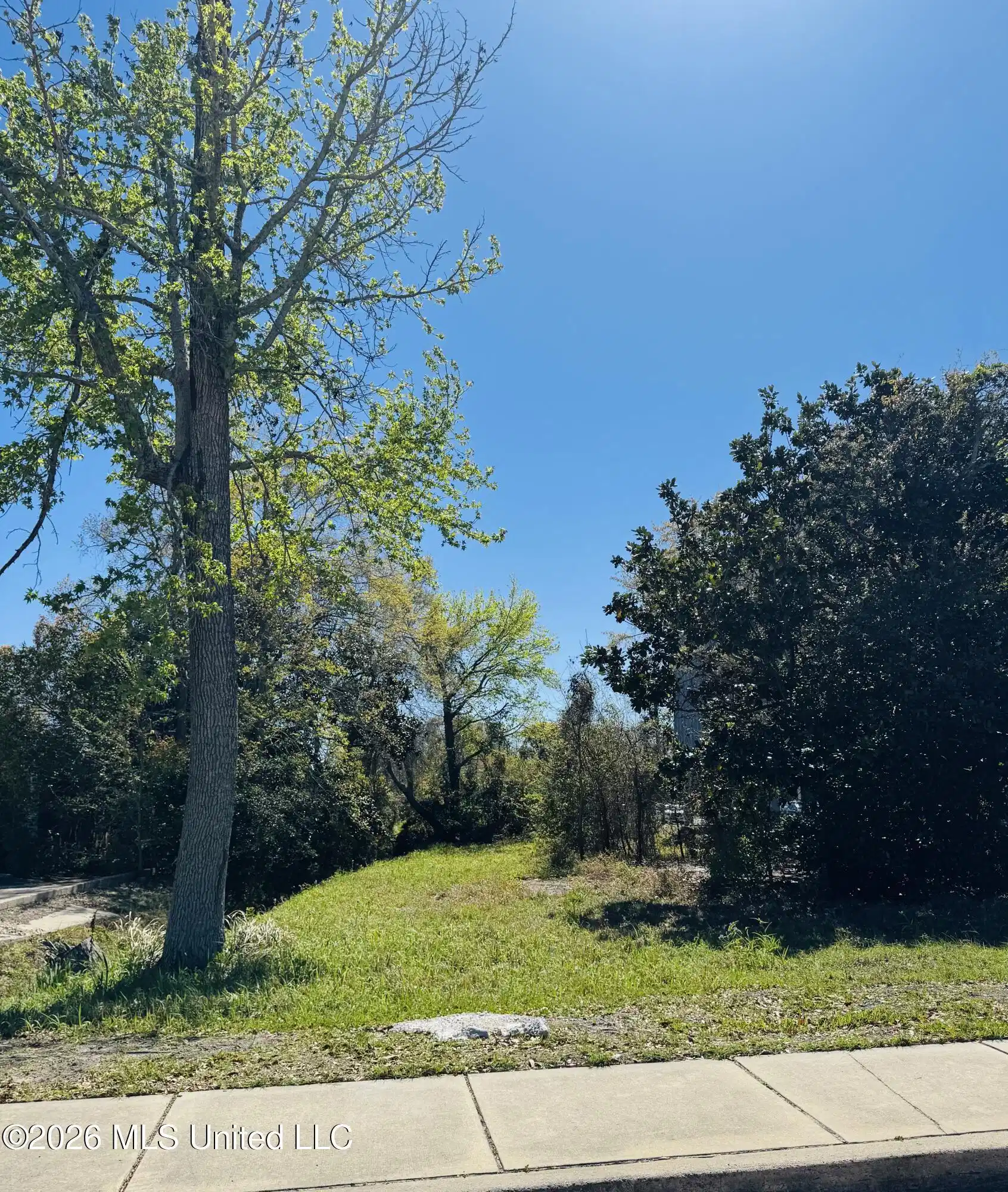Image 1: JACKSON AVE LOT SIDEWALK