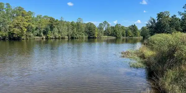 Image 4: Bayou Drive2- Gipson