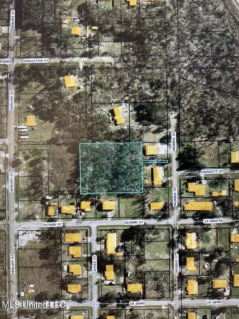 Image 1: 425 Herlihy_ 1.2 acres