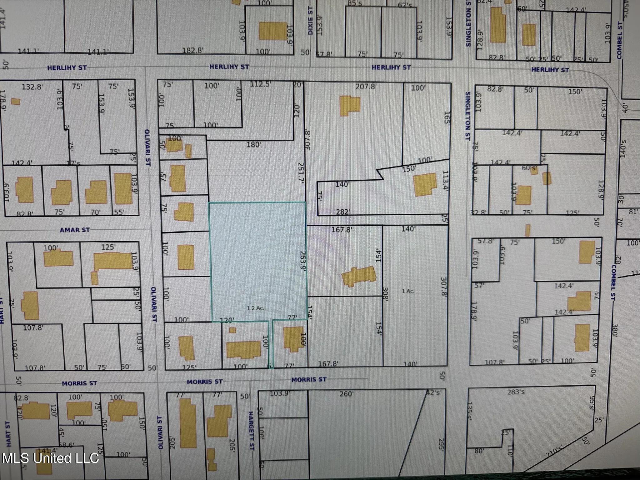 Image 2: 425 Herlihy plat