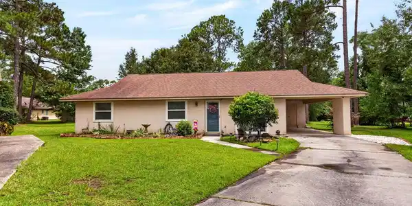 3 Cypress Knee Drive