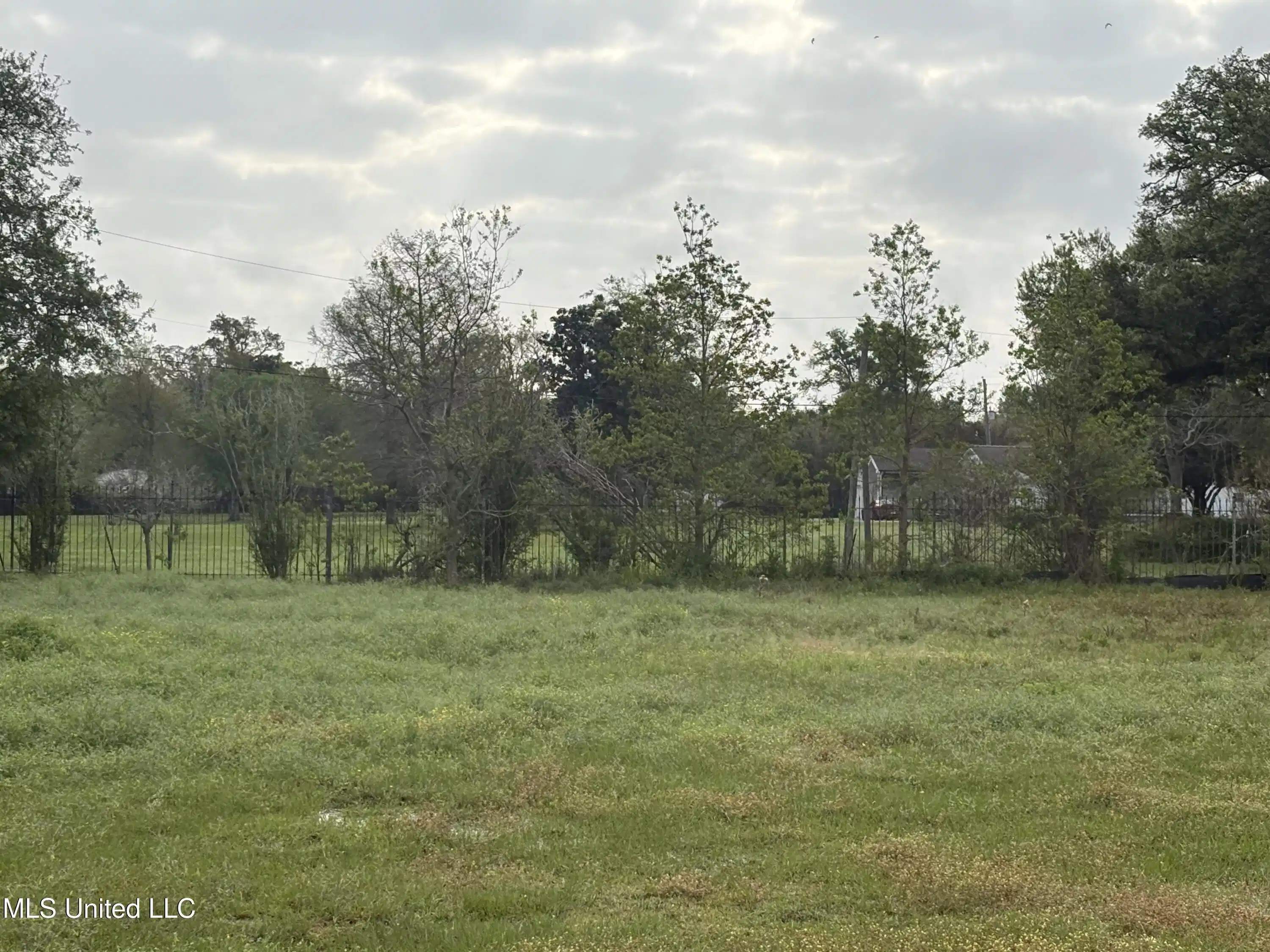 Image 1: seaside oaks