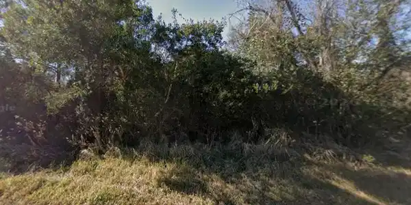 Image 4: Screenshot 2026-06-16 165320 2