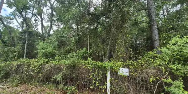 Image 2: kiln waveland lot 10&11
