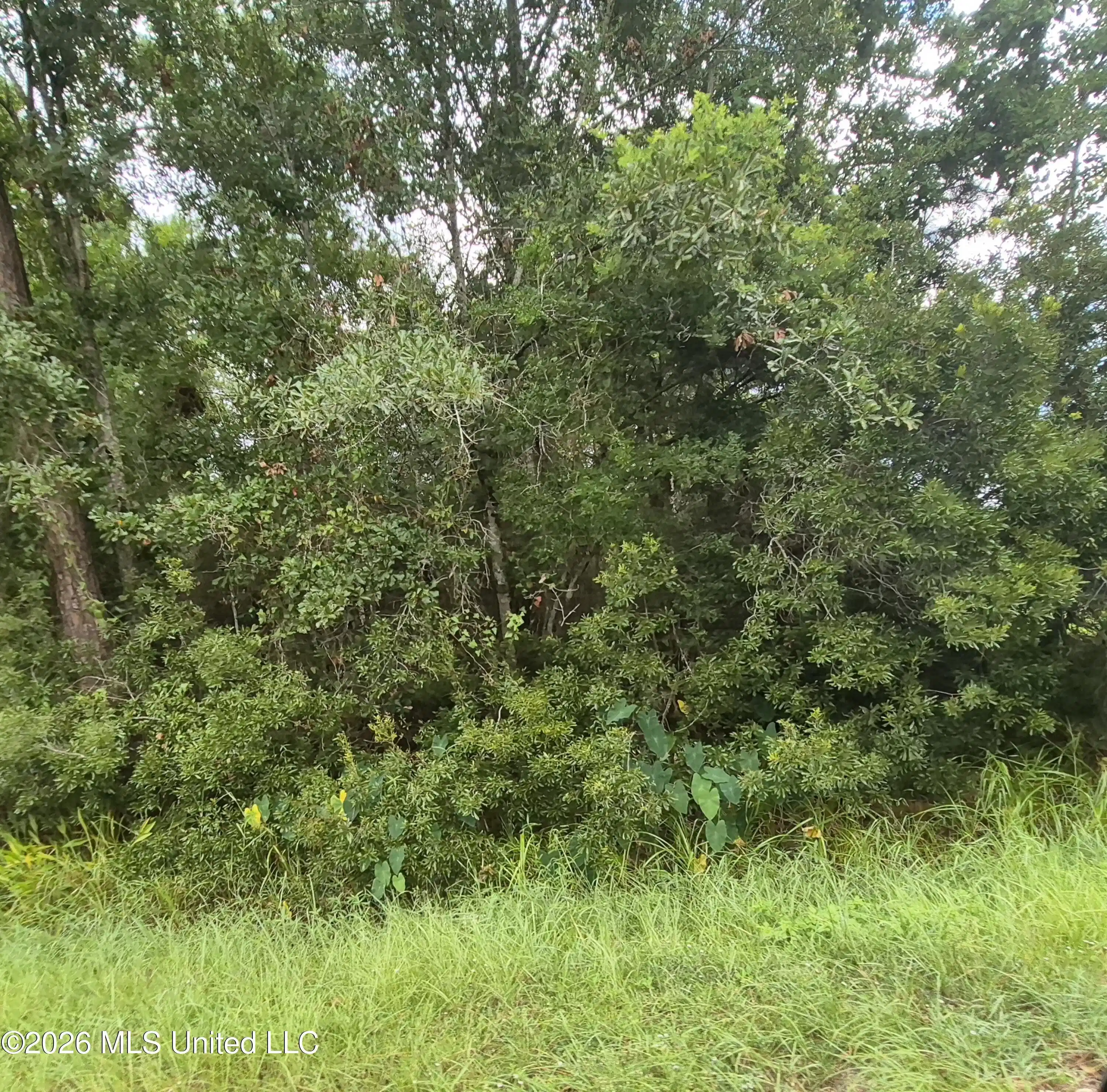 Image 1: Lot 10&11