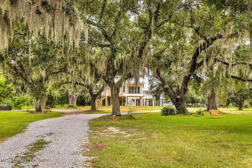 Image 2: 642NBeachBlvd-5