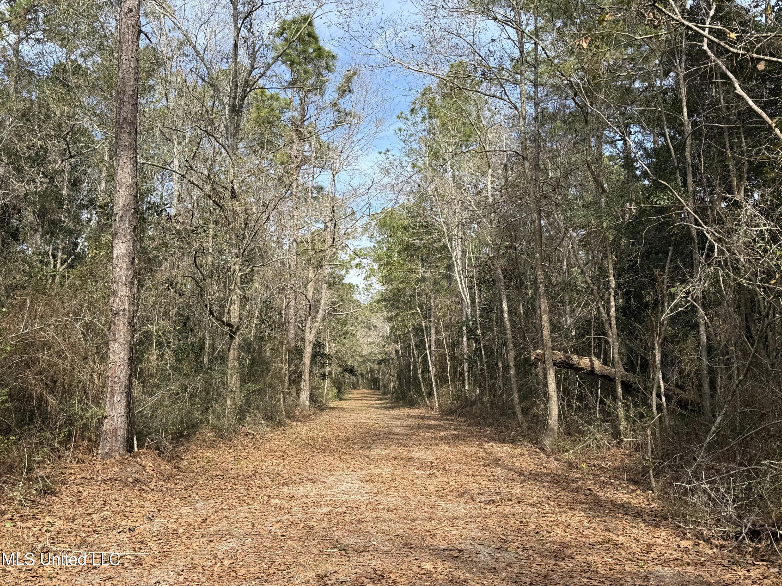 Image 3: Entrance Road