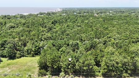 Whispering Pines Drive