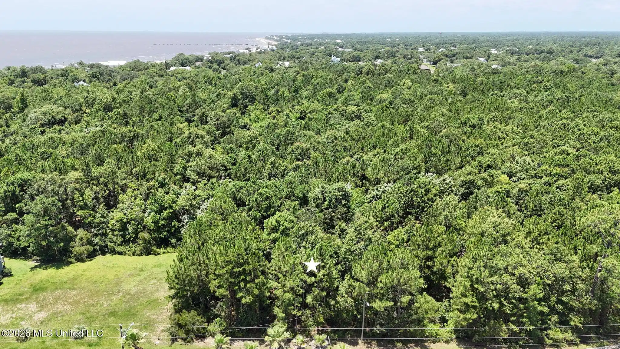 Image 1: 001